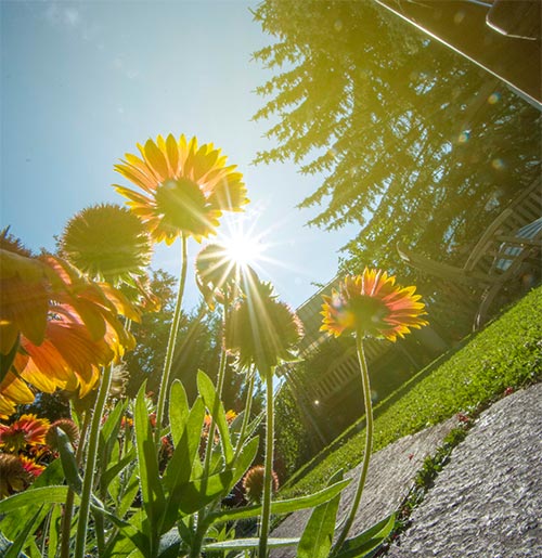 Galleria fotografica