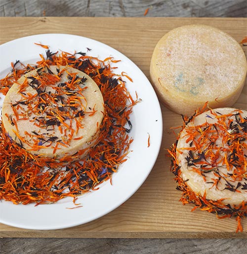 Healthy culinary delights