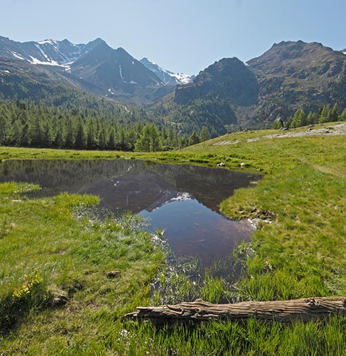 Vacane in Val d'Ultimo