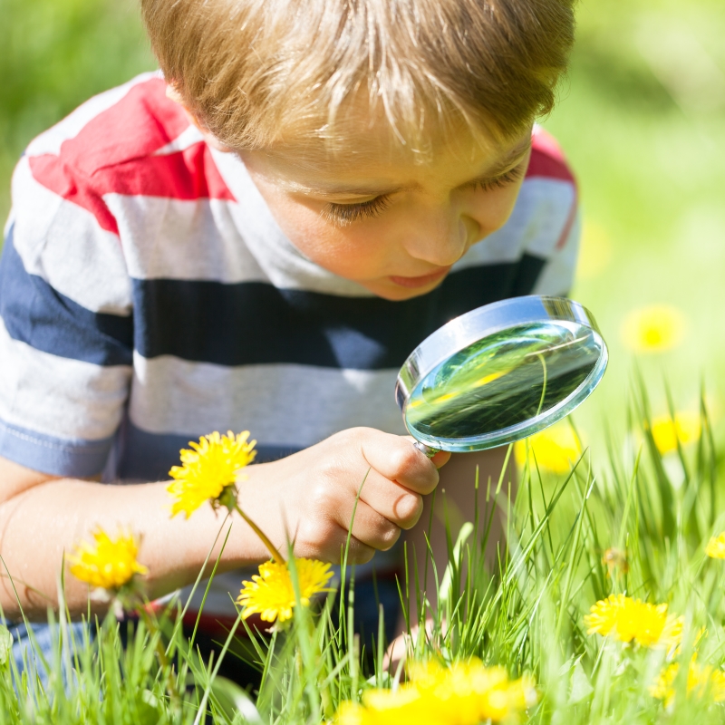 Schwimmen mit der ganzen Familie
