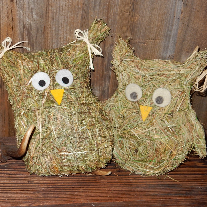 Nostro parco giochi nel bosco