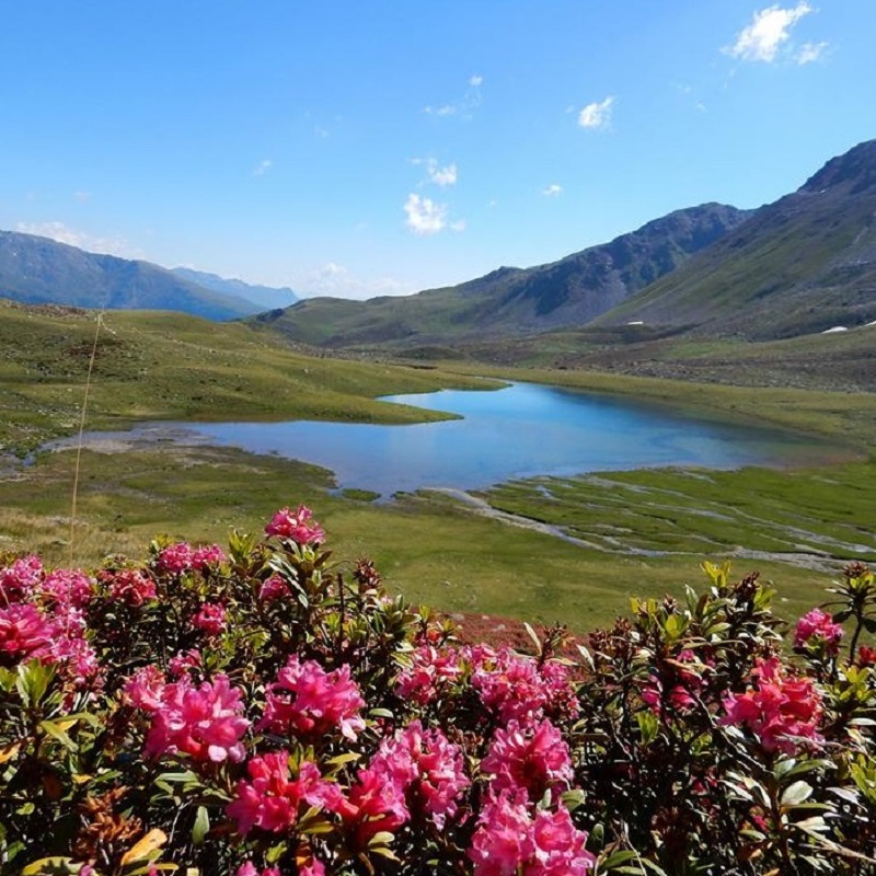 Wandern mit der ganzen Familie